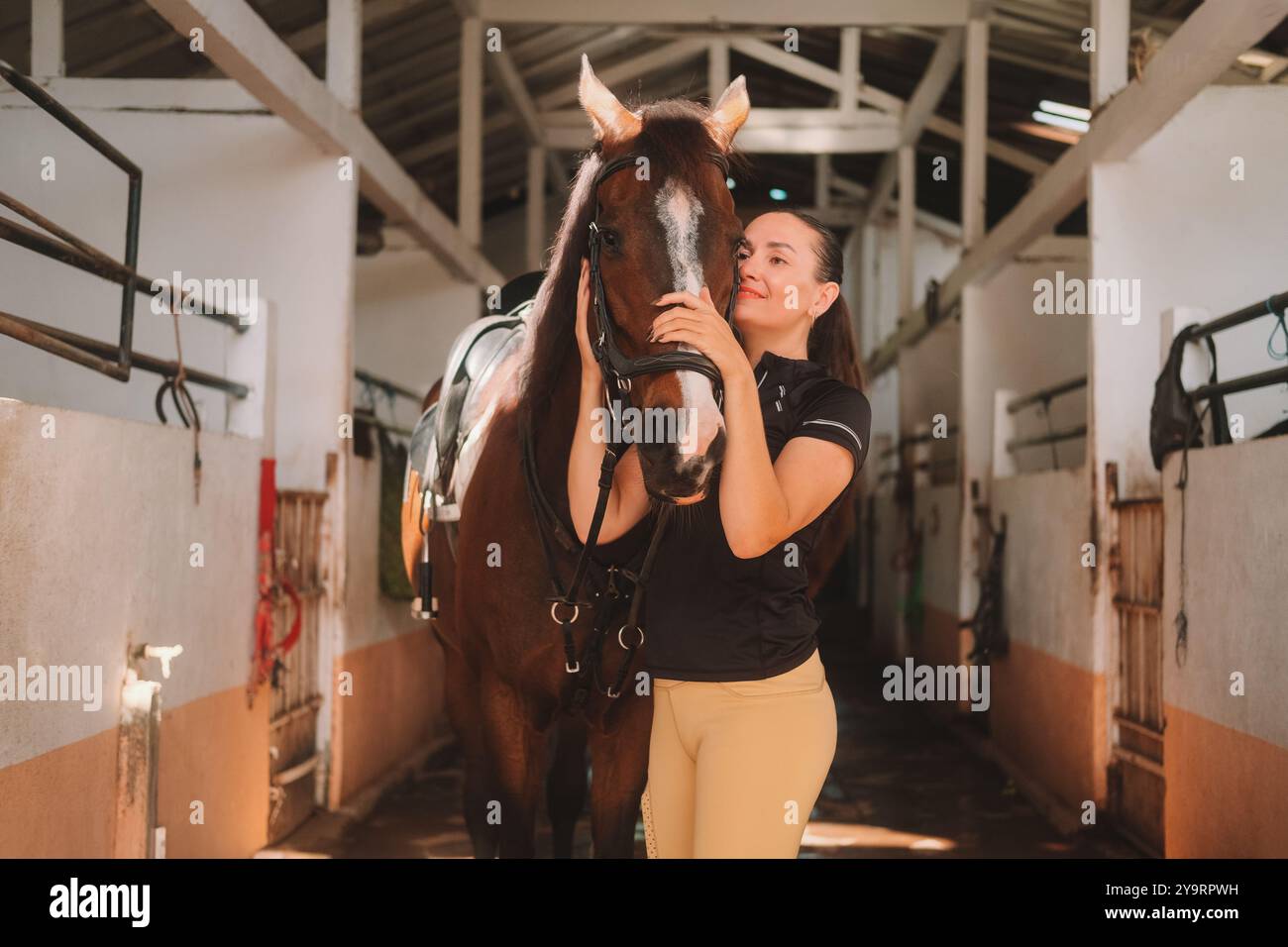 Young woman rider in equestrian uniform standing in stable next to her ...
