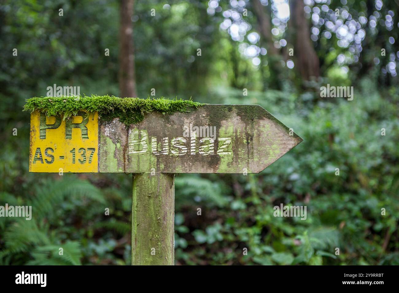 Route of the Profundu River, Villaviciosa, Asturias, Spain. Buslaz PR ...