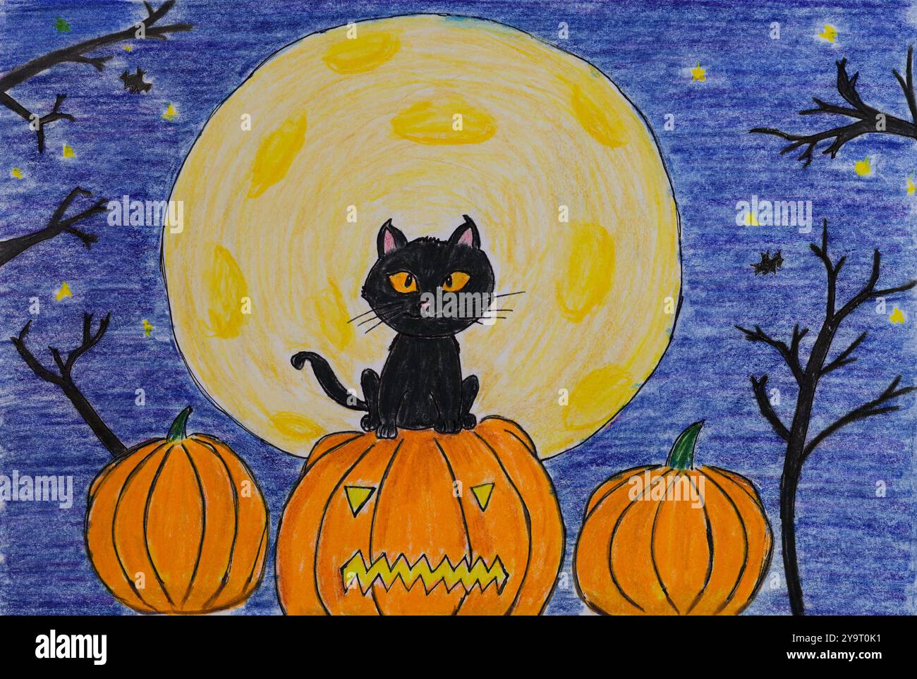 Black cat sitting on a carved pumpkin in front of the full moon ...