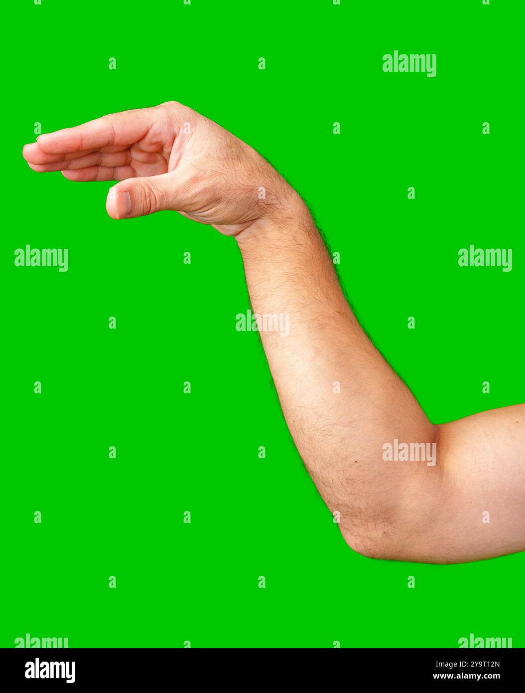 human arm gesturing with raised fingers against a bright green backdrop Stock Photo