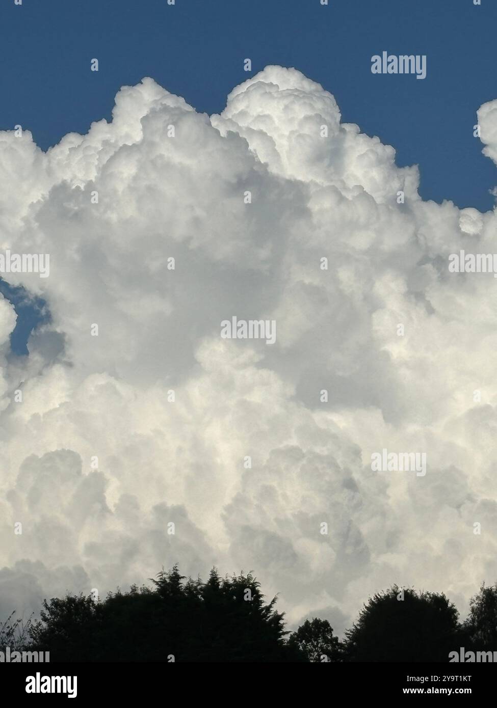 Cumulus Clouds over Chard Somerset England uk - Smartphone Captured Stock Image
