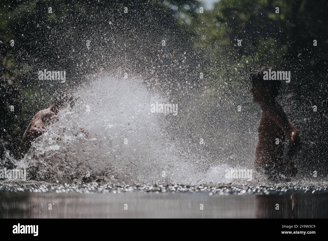 Kids splashing forest hi-res stock photography and images - Alamy