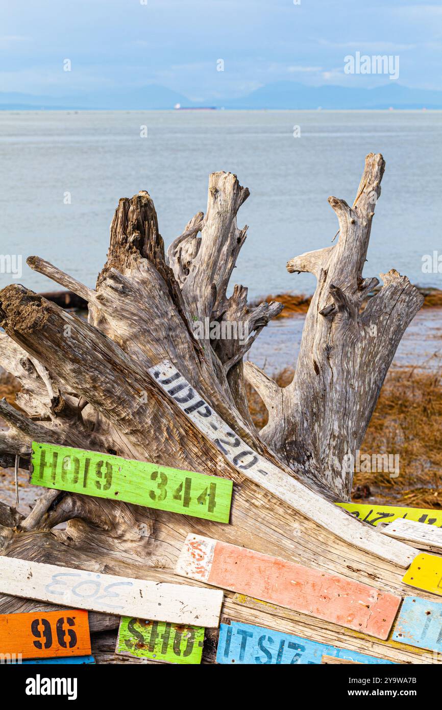 Driftwood abstract with logboom identifiers in Steveston British Columbia Canada Stock Photo