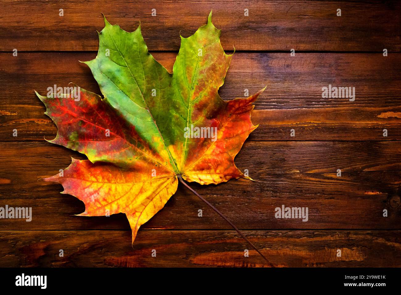 Autumn leaves over wooden background with copy space Stock Photo - Alamy