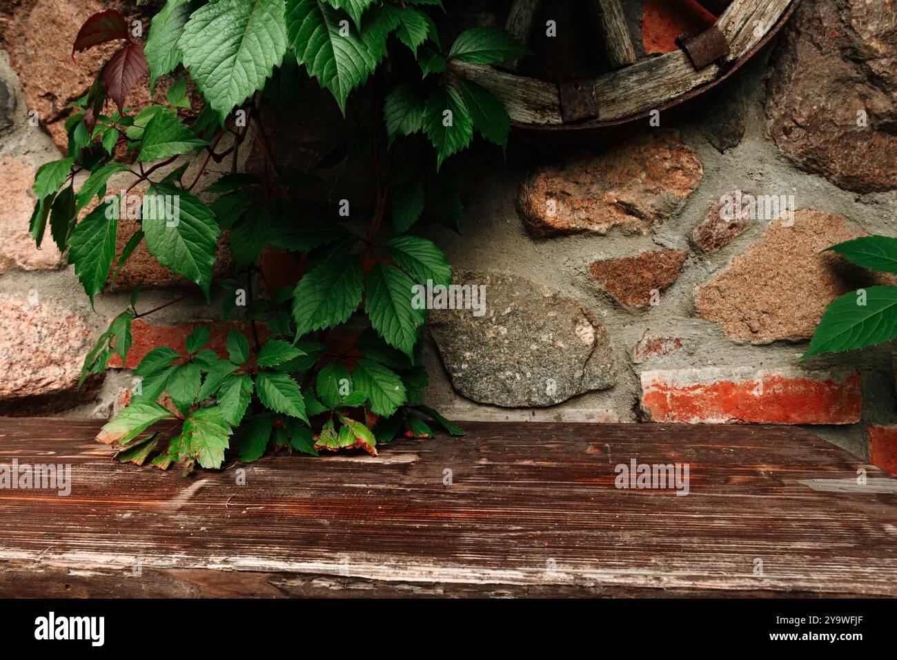 Empty old wooden table against green leaves and stone wall. Background Stock Photo