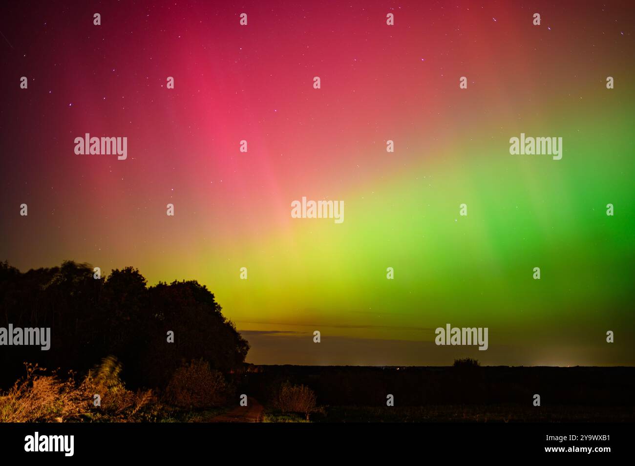 Stunning aurora borealis lights up the night sky with vibrant colors ...
