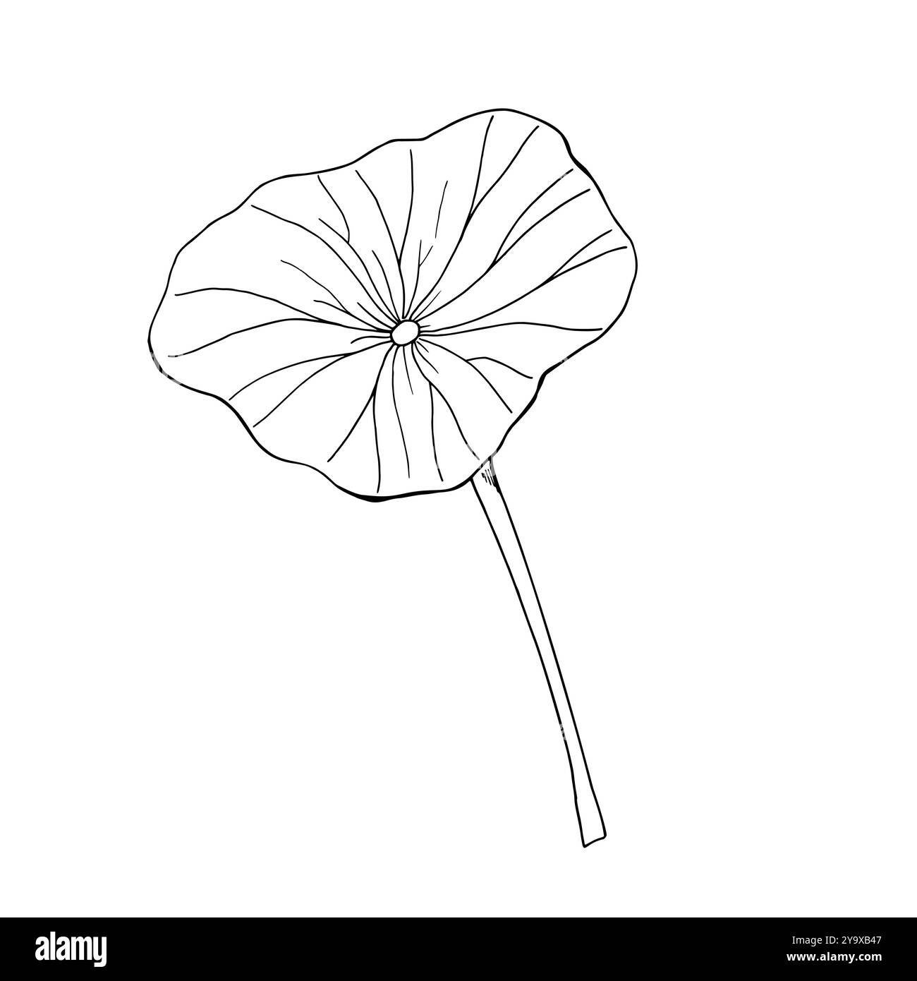 How to create vector art stock vector images alamy