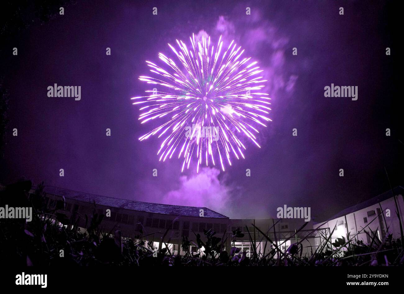 Purple Firework Explosion in the Night Sky: A Moment of Celebration and Magic Under the Stars. Stock Photo