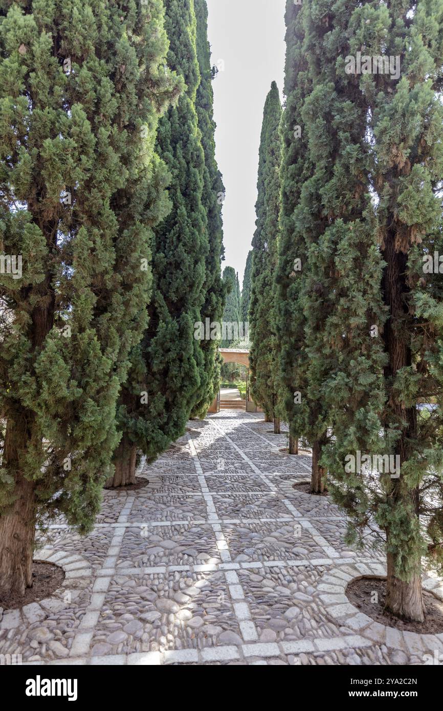 Paved path lined hi-res stock photography and images - Alamy