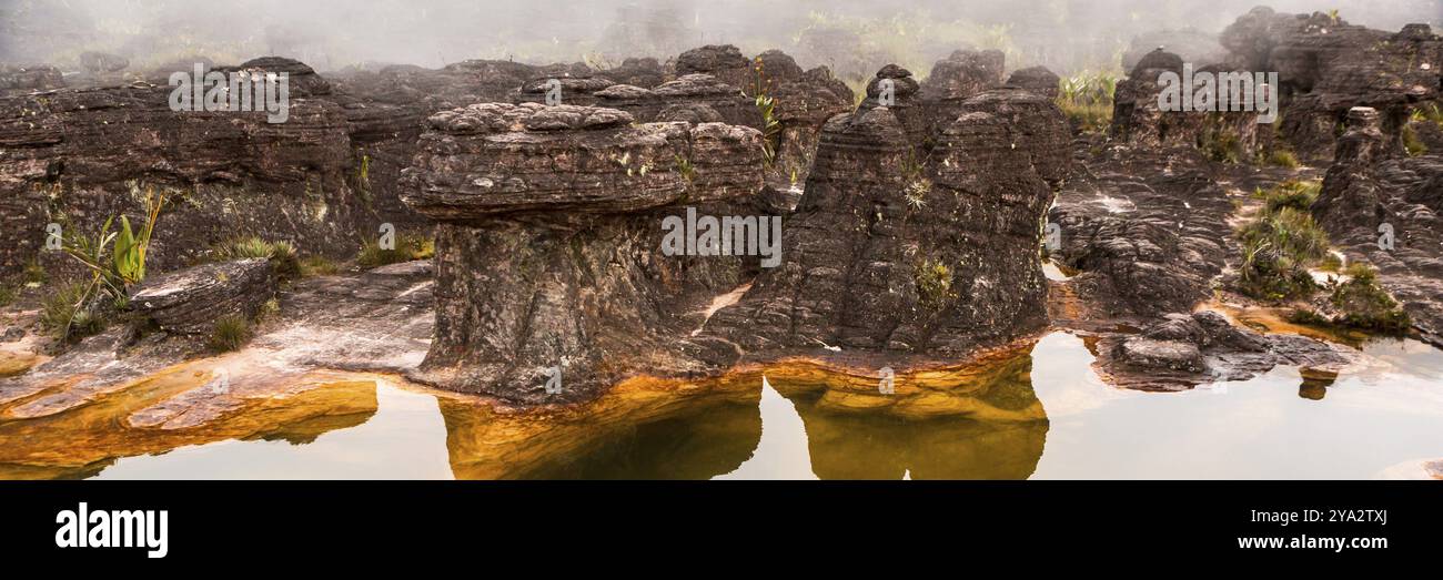 Mount Roraima banner web, Venezuela, South America Stock Photo - Alamy