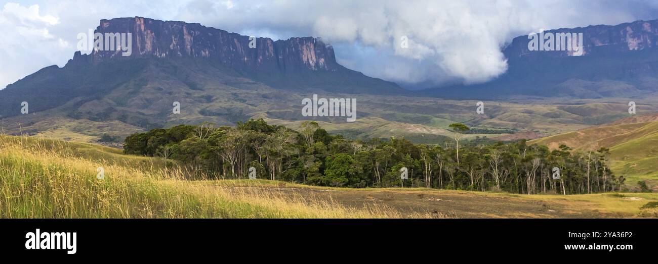 Mount Roraima banner web, Venezuela, South America Stock Photo - Alamy