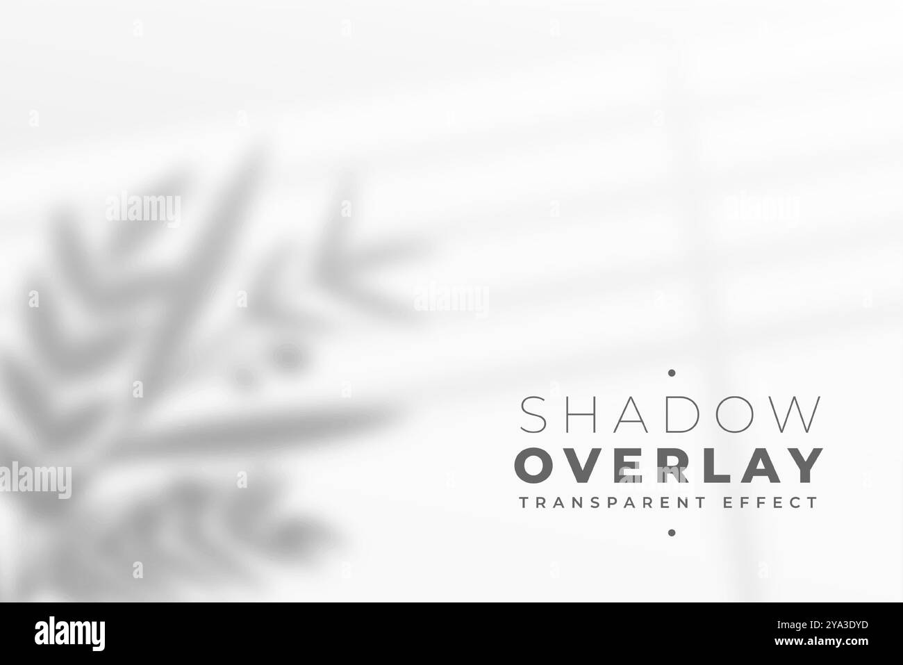 Palm leaves overlay shadow Black and White Stock Photos & Images - Alamy