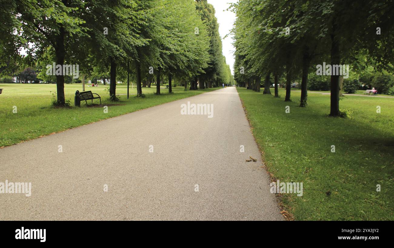Empty alley in blooming hi-res stock photography and images - Alamy