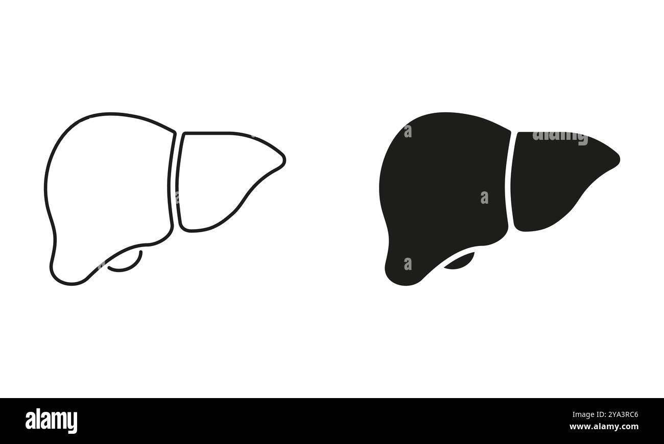Liver Line and Silhouette Icon. Hepatic System Sign. Human Liver for ...