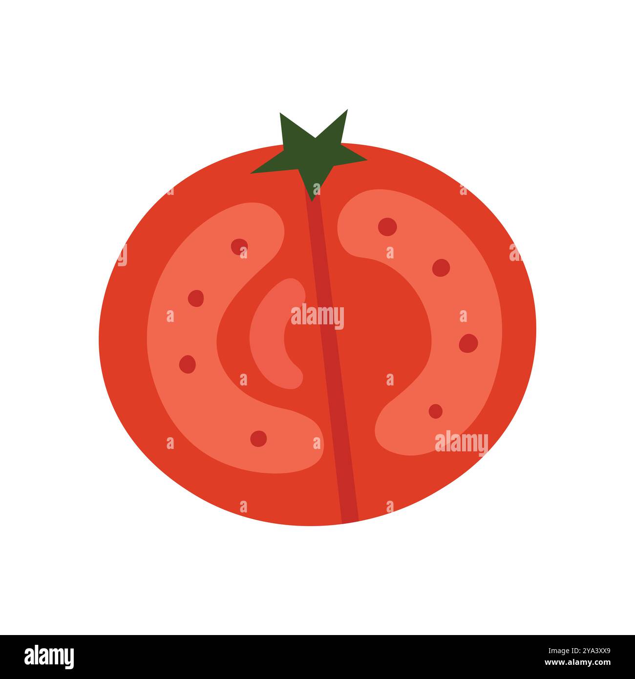 Tomato slice visible seeds hi-res stock photography and images - Alamy