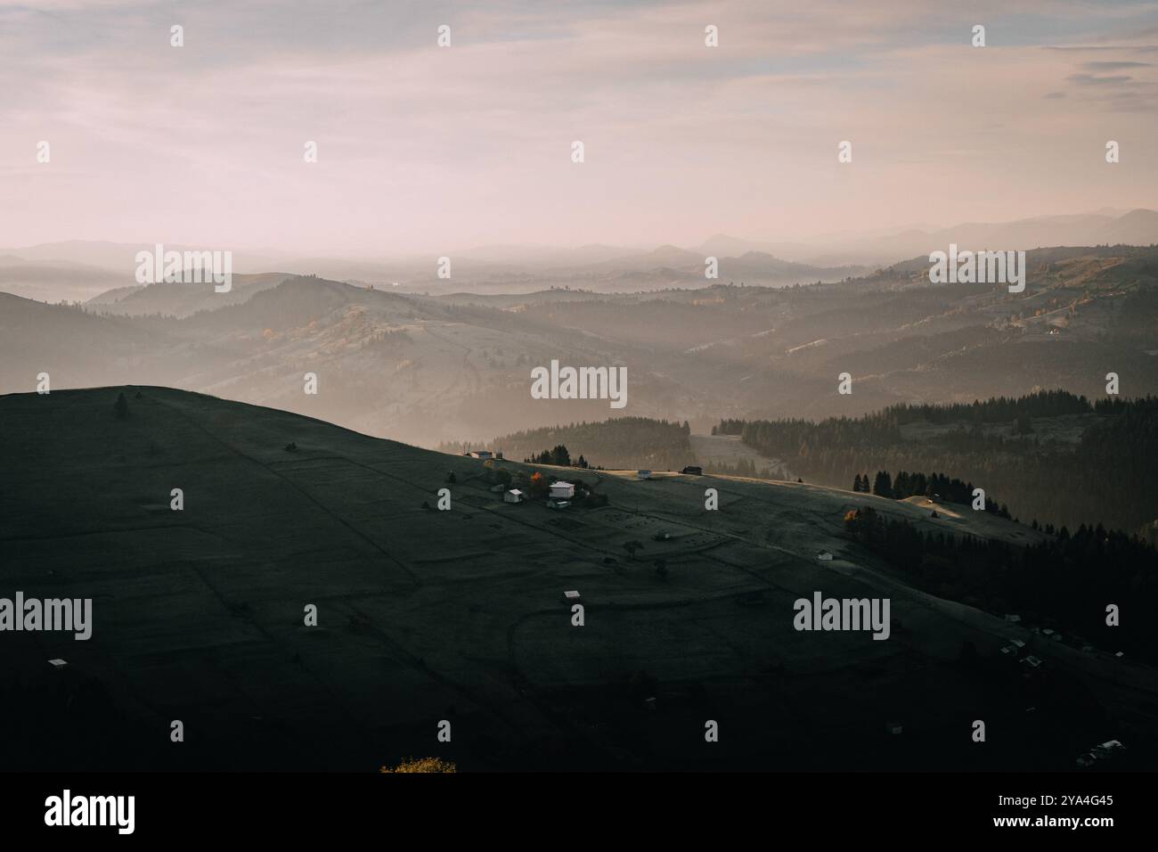 Sunrise over misty forest mountain hi-res stock photography and images ...