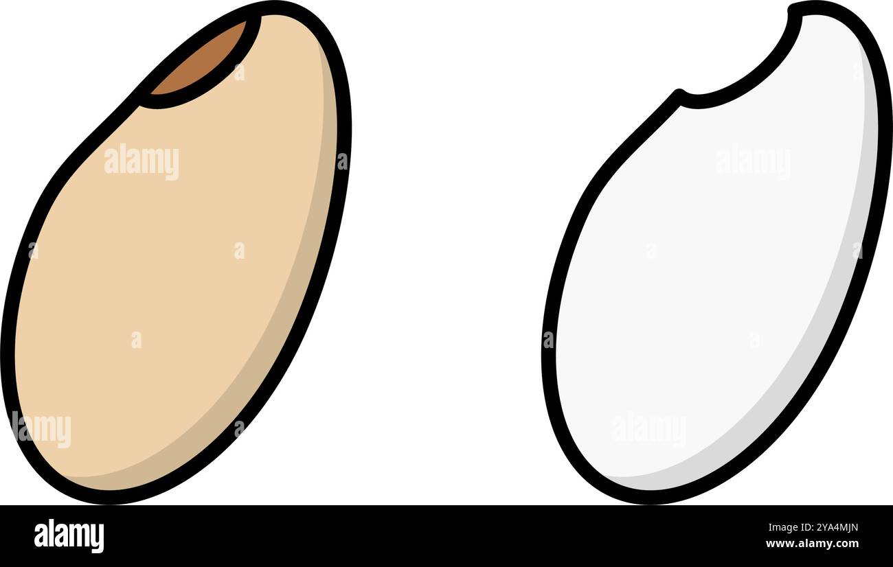 Grain of rice vector vectors hi-res stock photography and images - Alamy