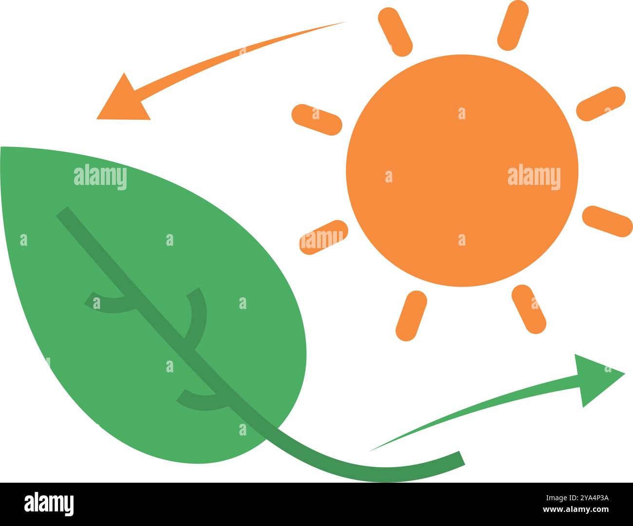 Photosynthesis Process Between Sun and Leaf. Editable vector Stock ...