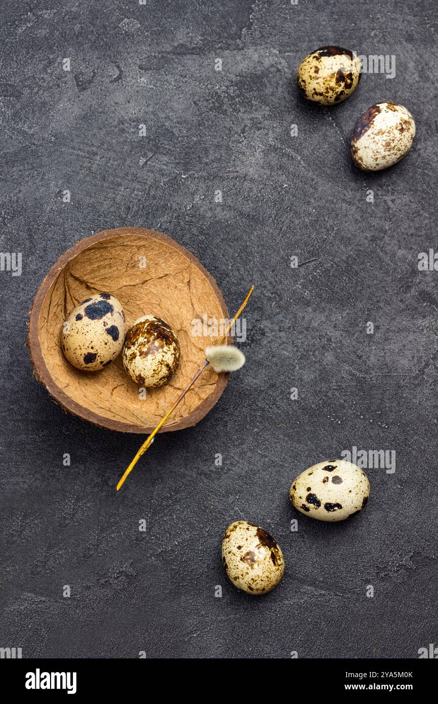 Quail eggs on table. Two eggs in coconut shell. Black background. Flat lay. Copy space Stock Photo