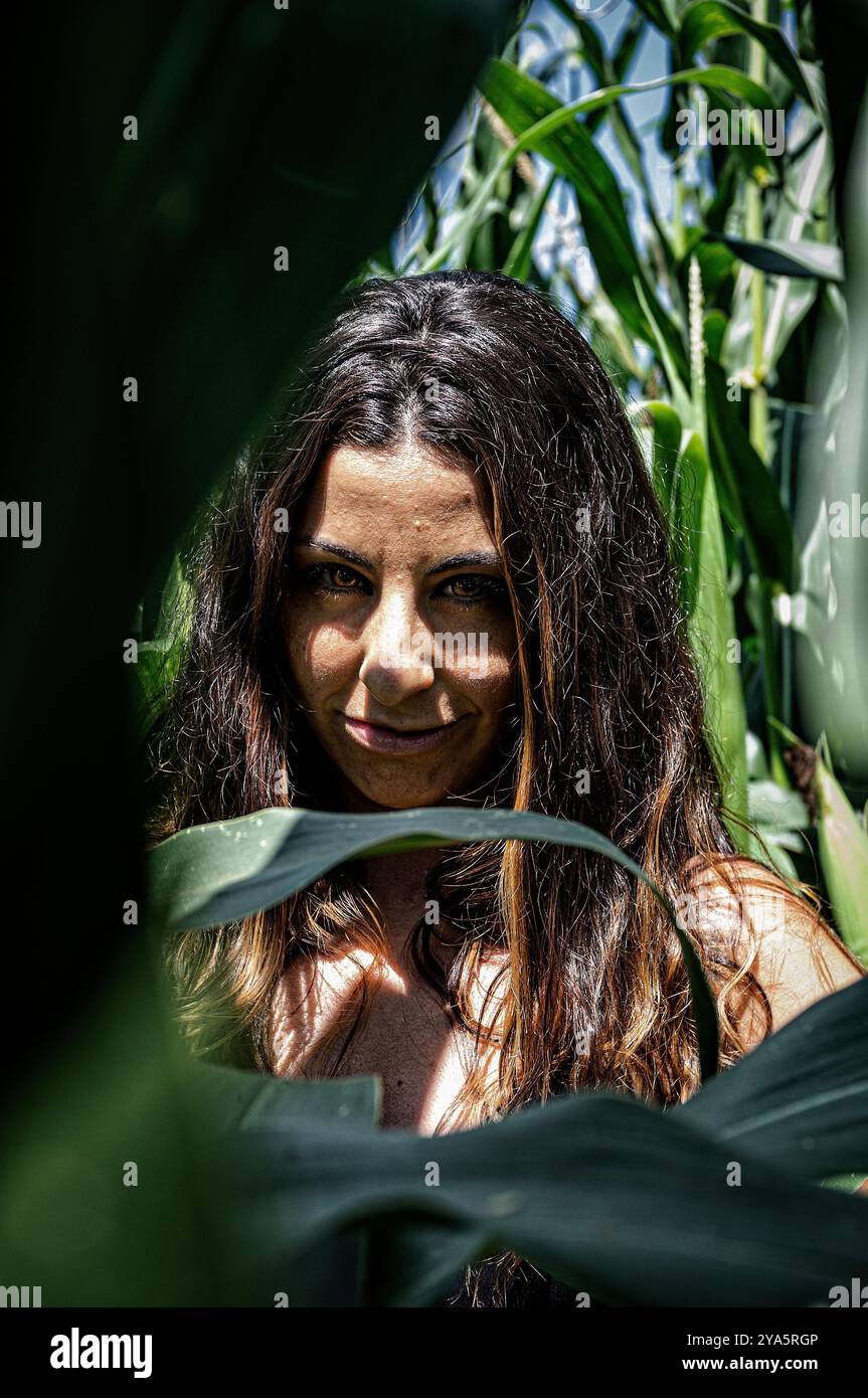 Close-up of a frightening witch appearing among the wheat fields, concept of horror, Halloween, fear Stock Photo