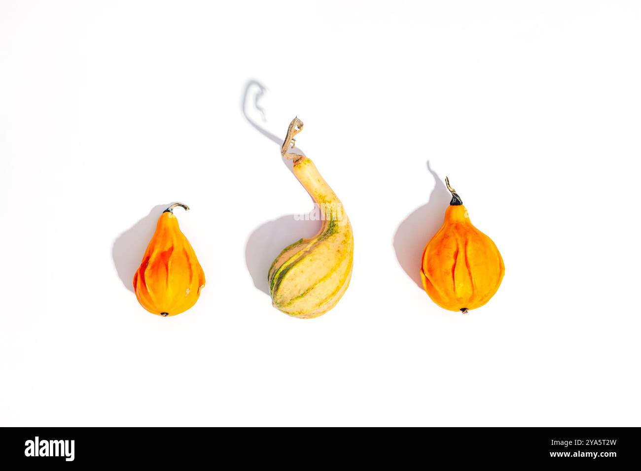 Three decorative pumpkins with sharp shadows isolated on white background. Top view. Stock Photo