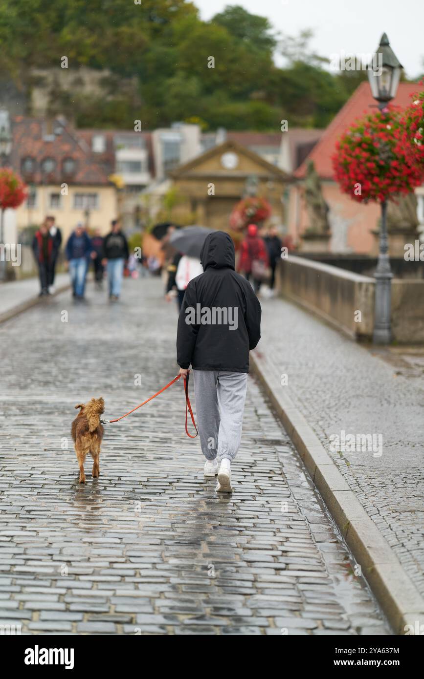 Walker with dog on the old Main bridge, alte Mainbrücke in Wurzburg in Germany in rainy weather Stock Photo