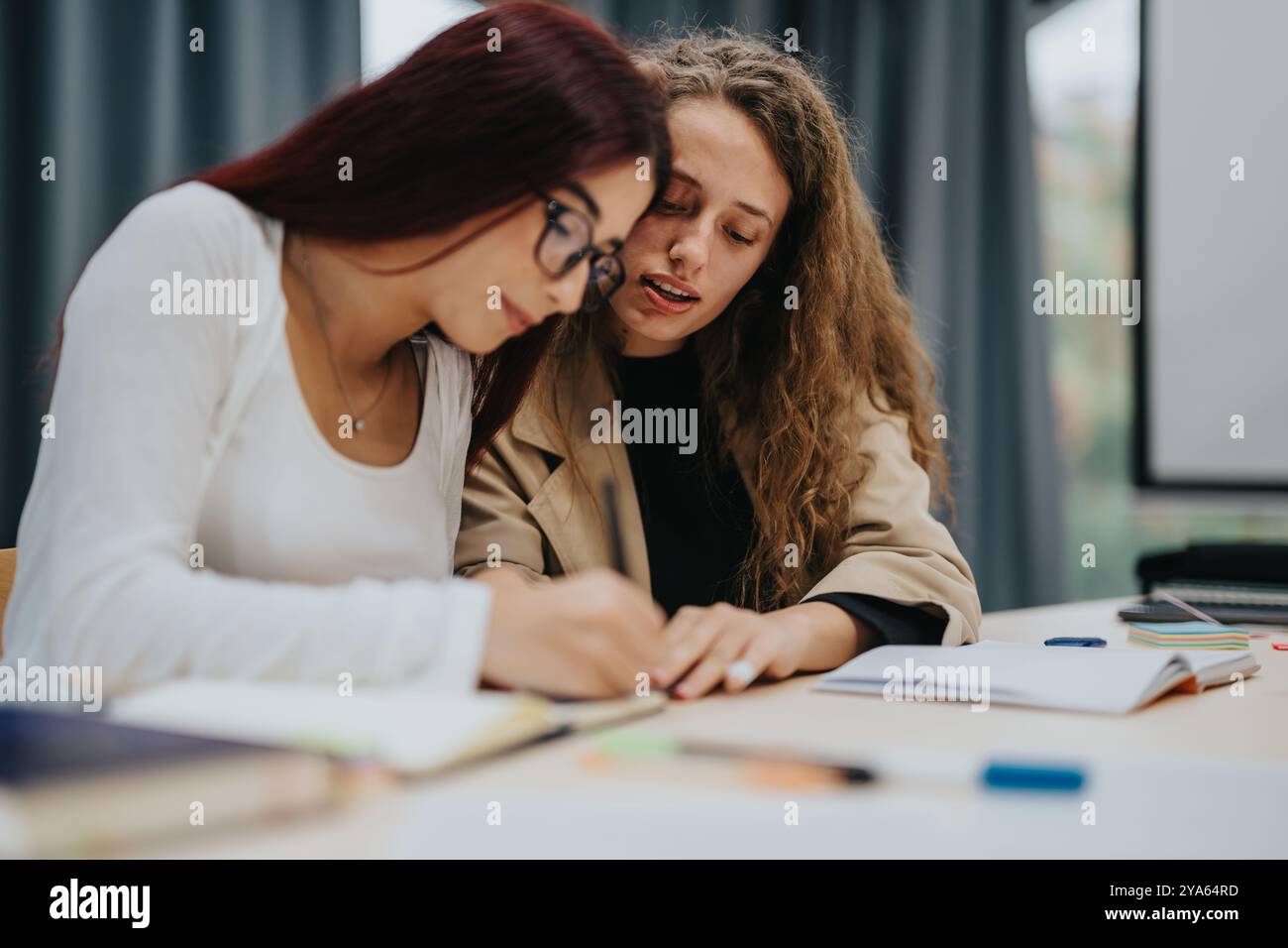 Two students collaborating during a classroom study session Stock Photo