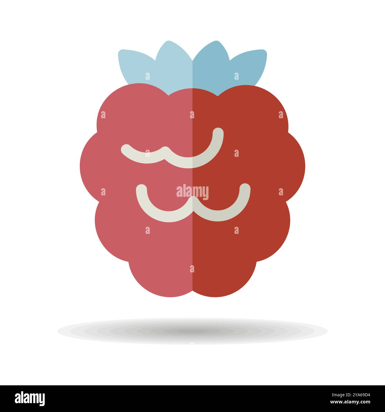 Raspberry, blackberry vector icon. Graph symbol for food and drinks web ...