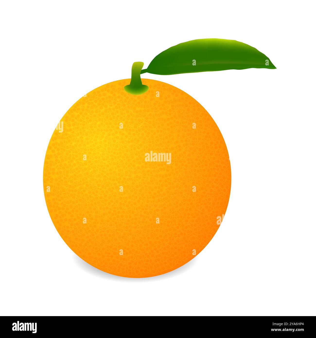 Orange fruit isolated on white background Stock Vector Image & Art - Alamy
