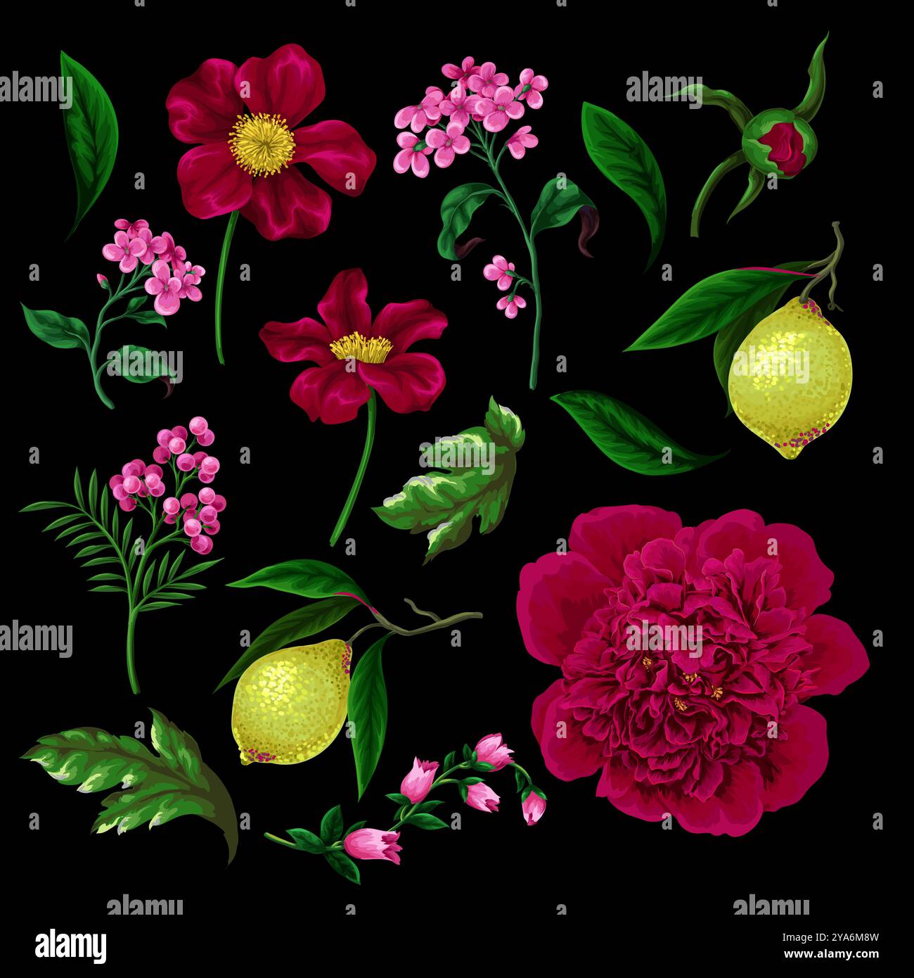 Peonies, lemons and other flowers isolated. Vector. Stock Vector