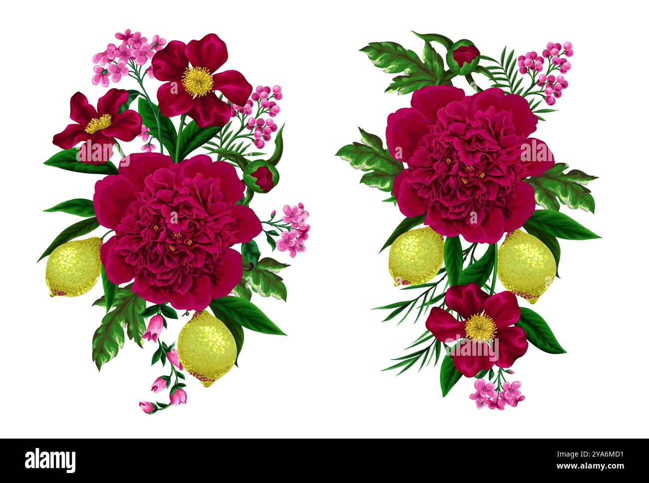 Peonies, lemons and other flowers isolated. Vector. Stock Vector