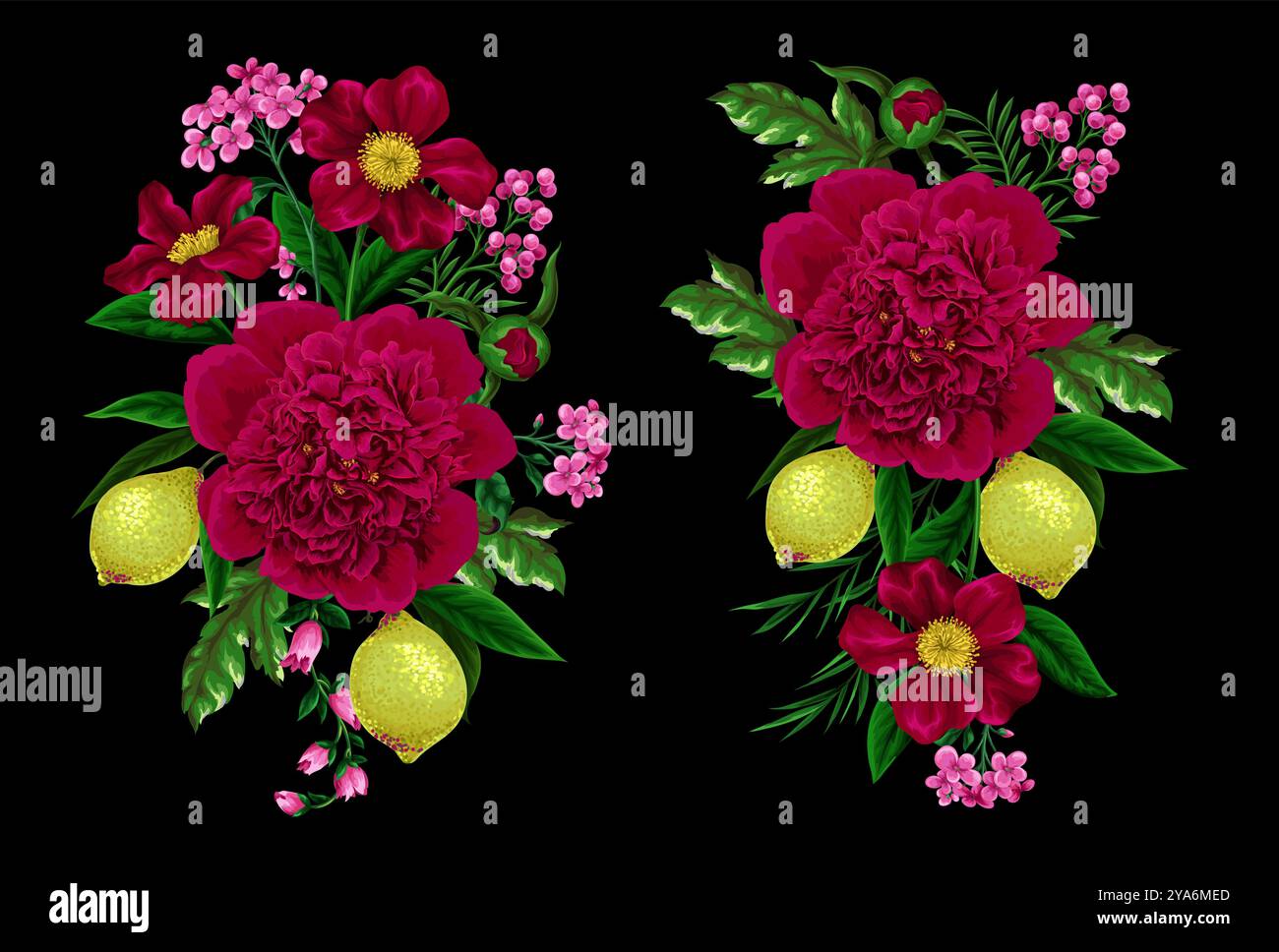 Peonies, lemons and other flowers isolated. Vector. Stock Vector