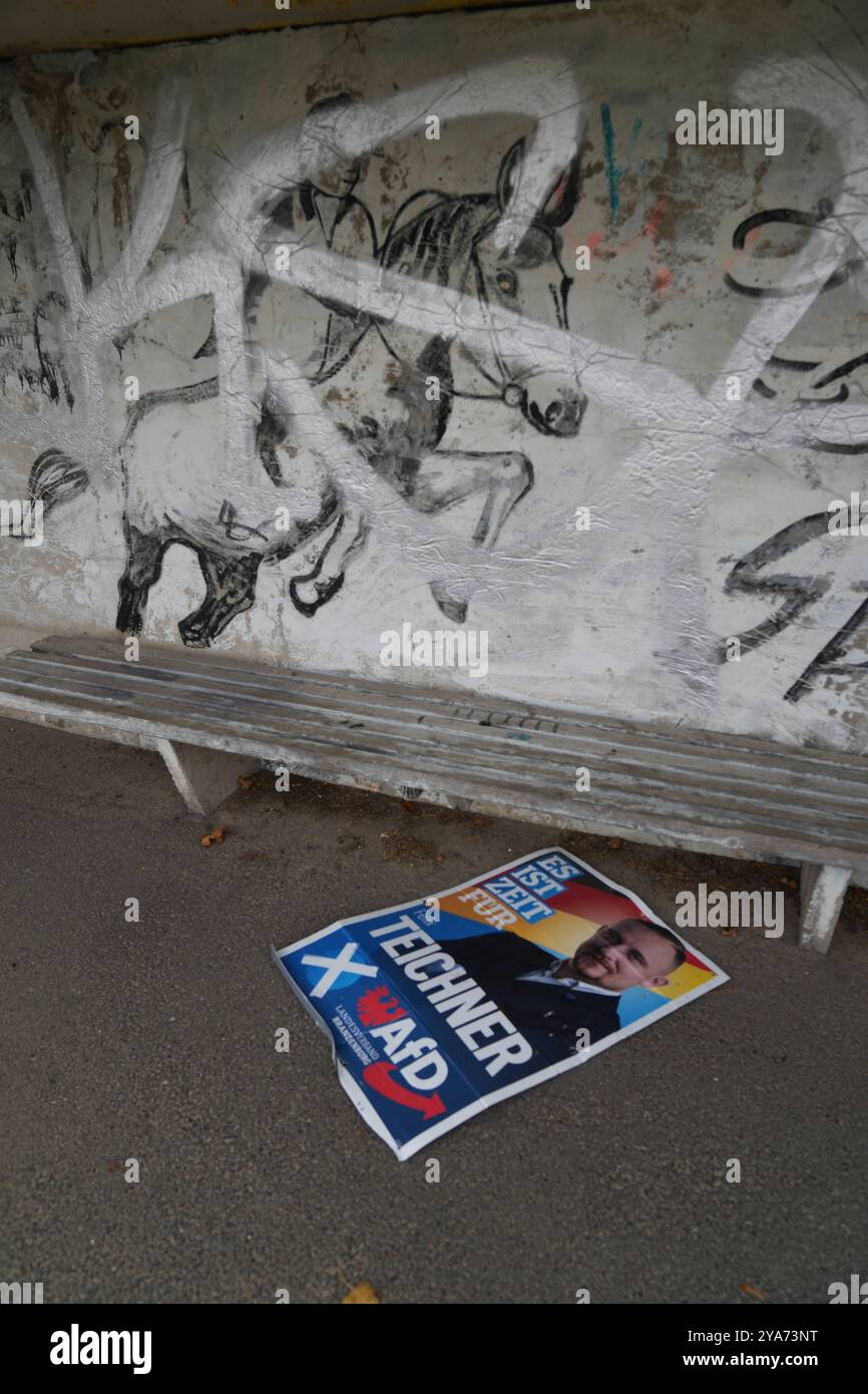 Afd GER, Deutschland, 20240901,Wahlplakat, AfD in Brandenburg ...