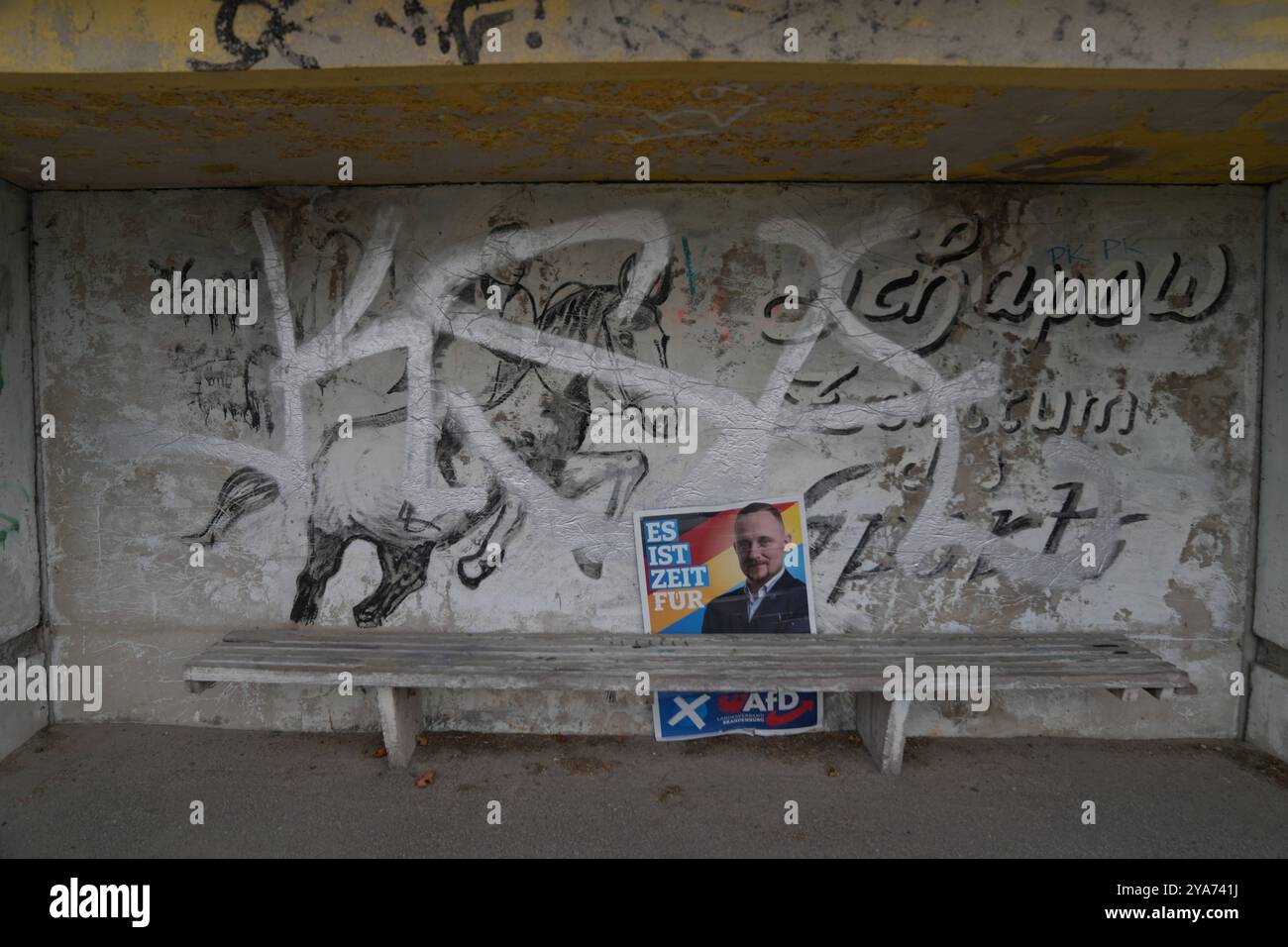 Afd GER, Deutschland, 20240901,Wahlplakat, AfD in Brandenburg ...