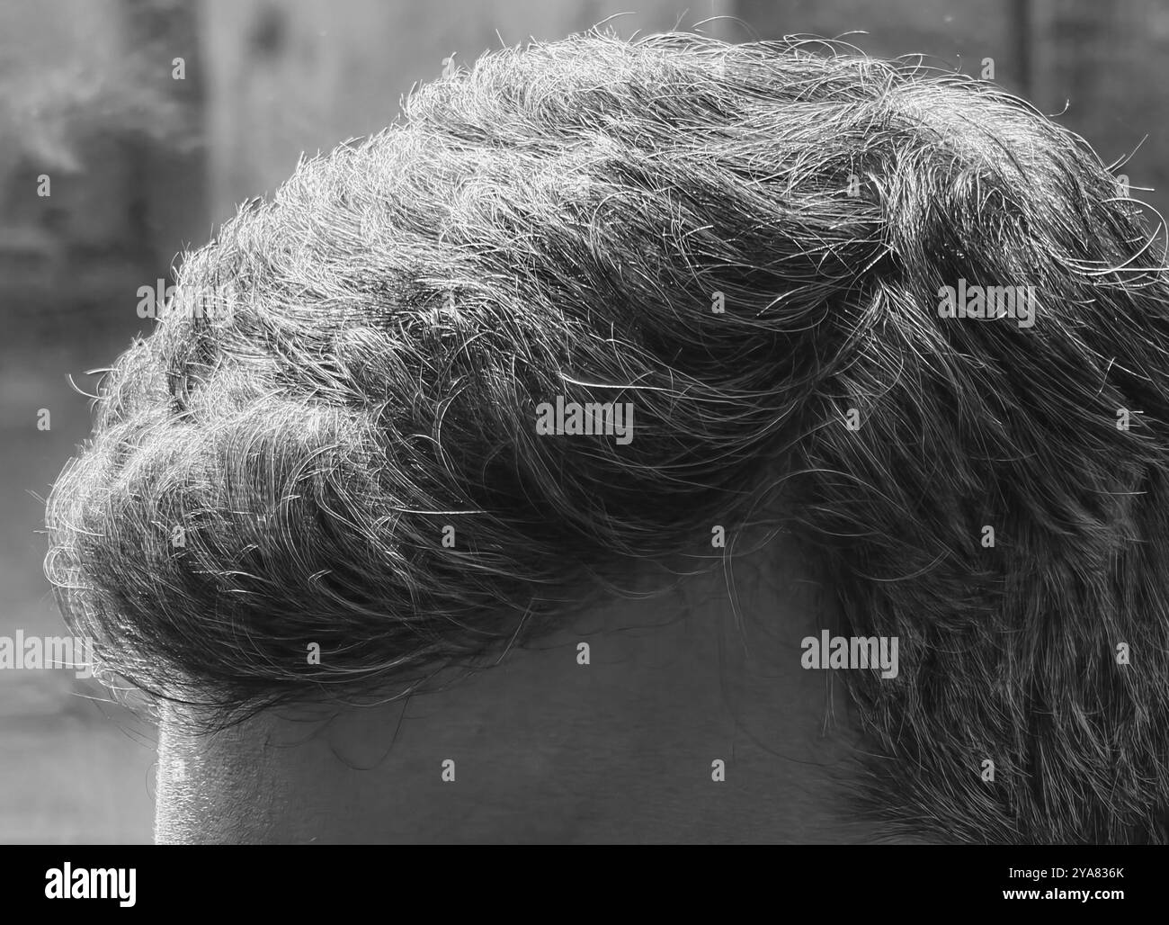 man gray hair Black and White Stock Photos Images Alamy