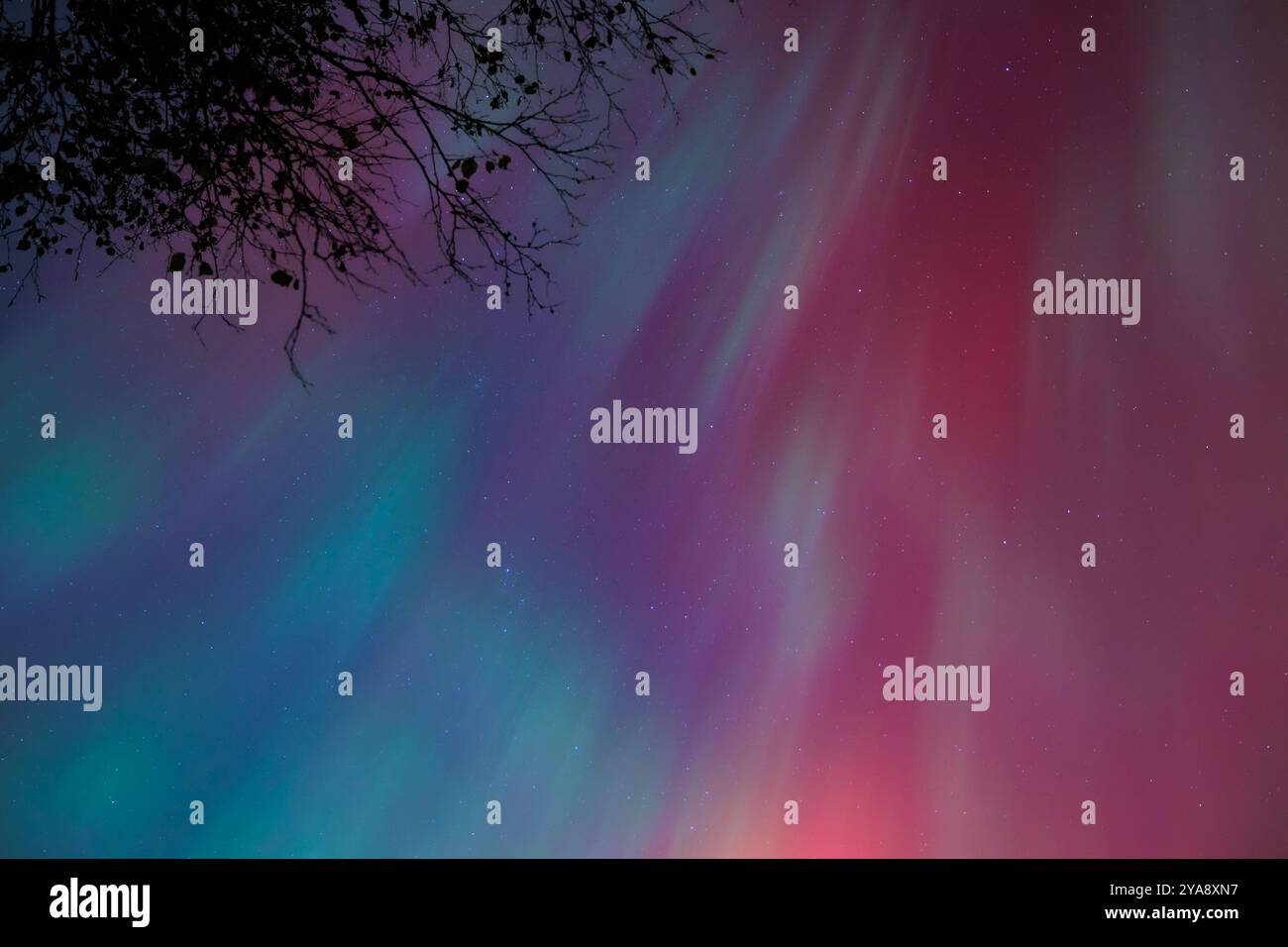 Northern lights october 2024 hires stock photography and images Alamy