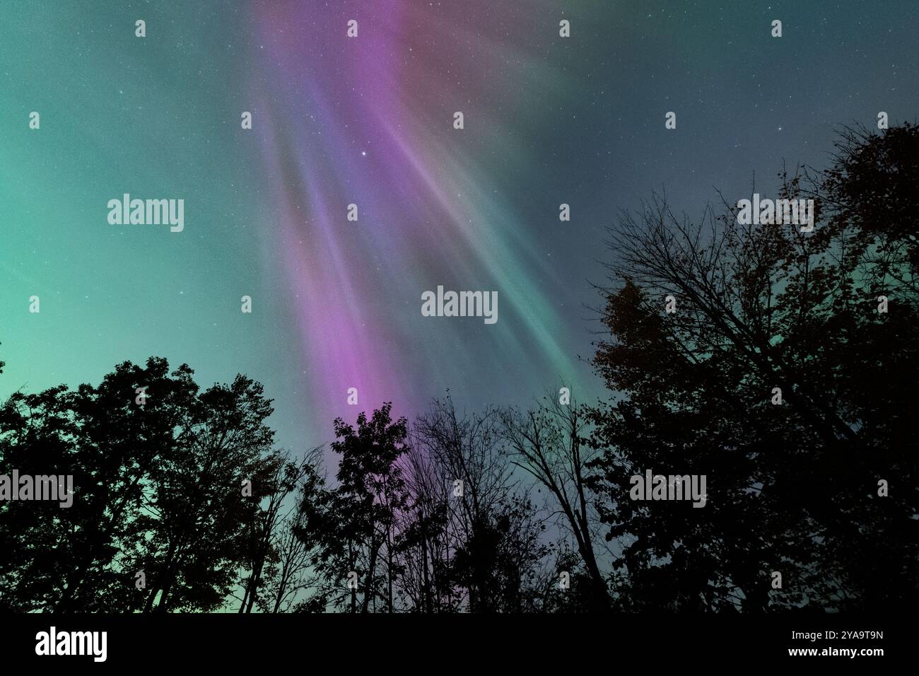 Aurora Borealis October 2024 Stock Photo Alamy