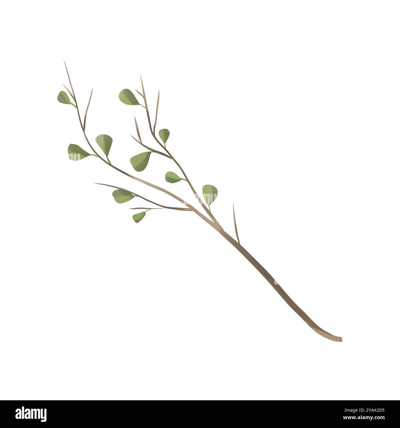 Eucalyptus leaves cut out hi-res stock photography and images - Alamy