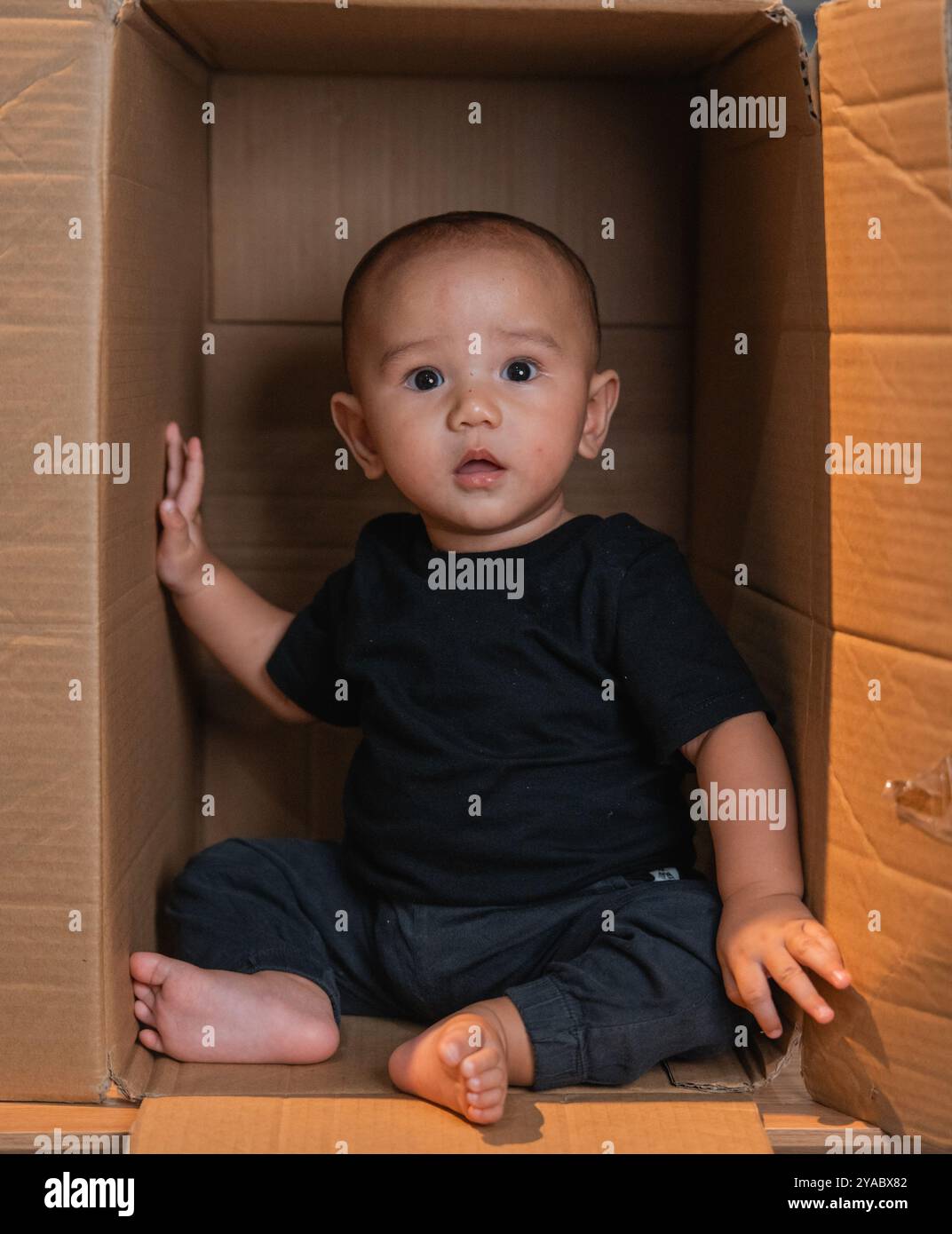 A Cute Baby is Sitting Inside a Cardboard Box with a Very Curious ...