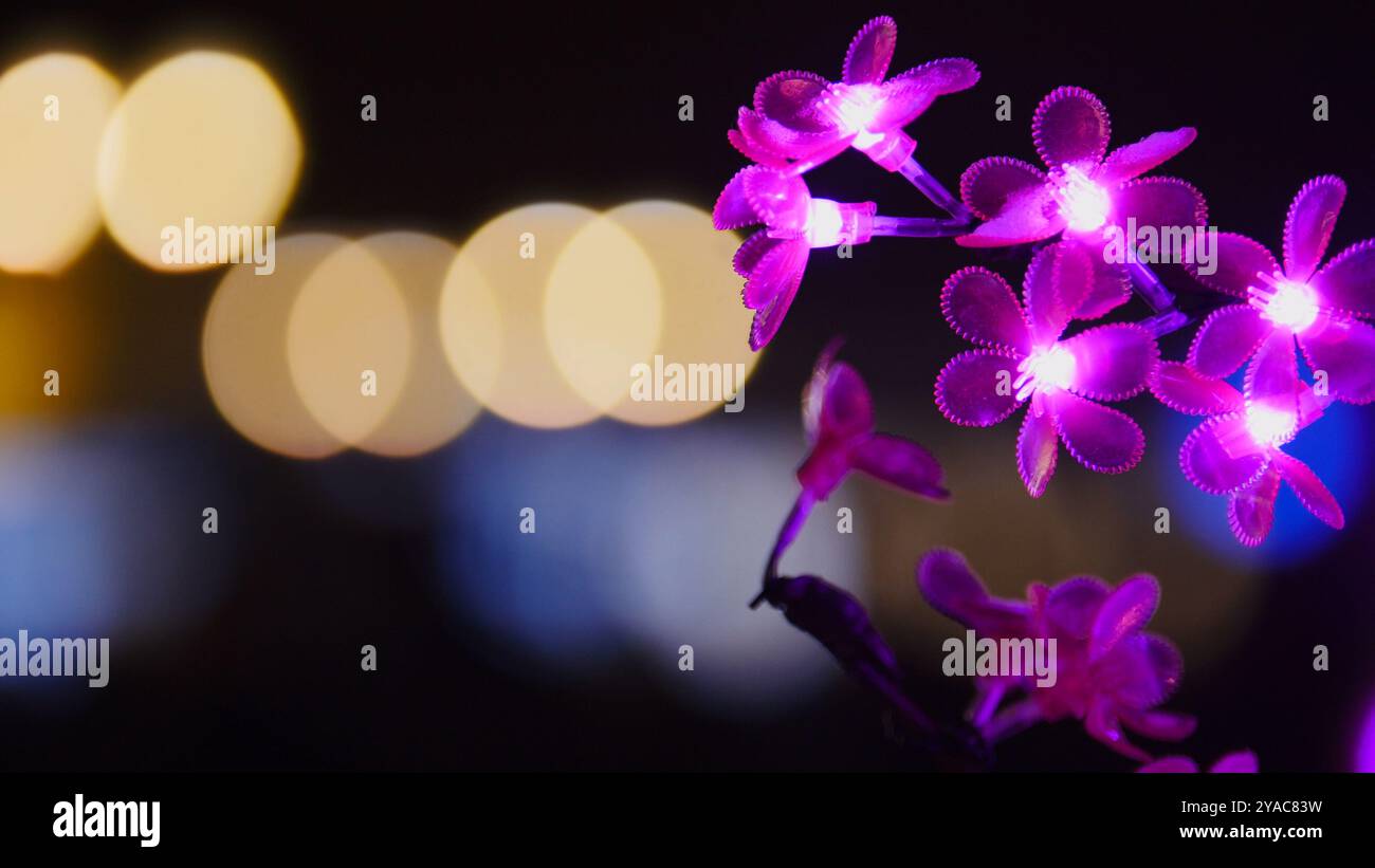 Abstract bokeh pink color lighting hi-res stock photography and images ...