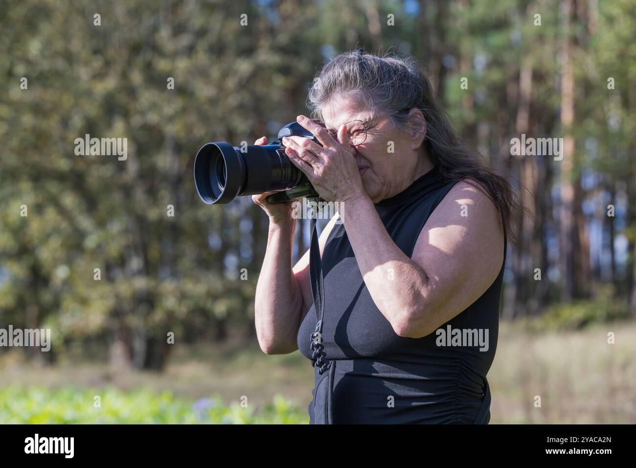 A photographer takes pictures in nature Stock Photo