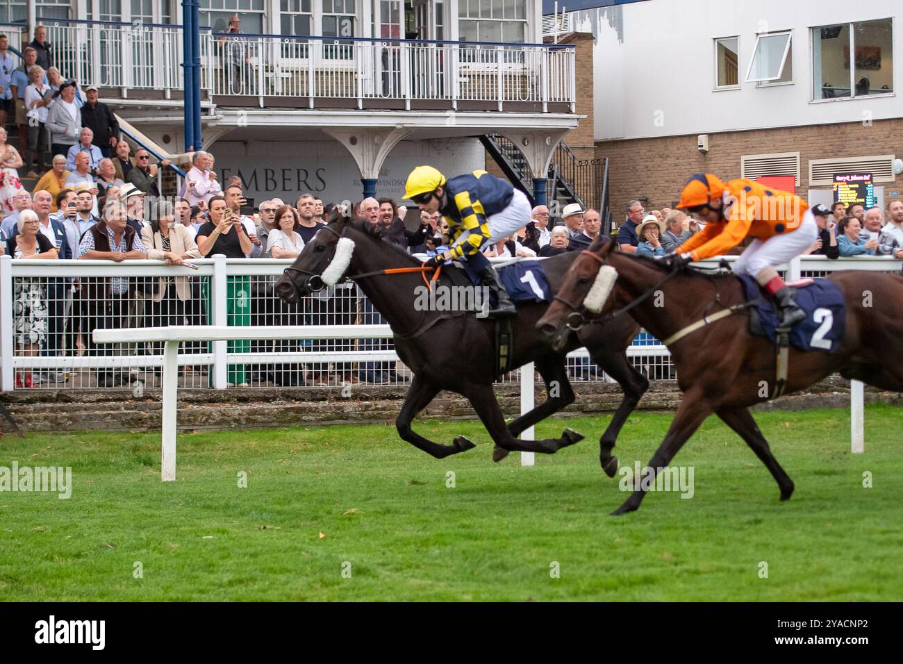 Windsor, Berkshire, UK. 2nd September, 2024. DAISY ROOTS ridden by ...