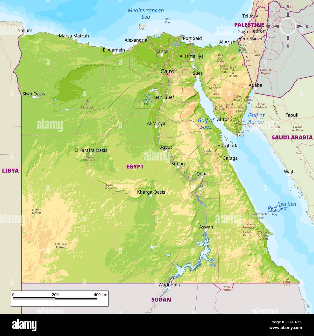 Physical Political Map Of Egypt Stock Vector Image Art Alamy Physical Political Map Of Egypt 2YAD2YC