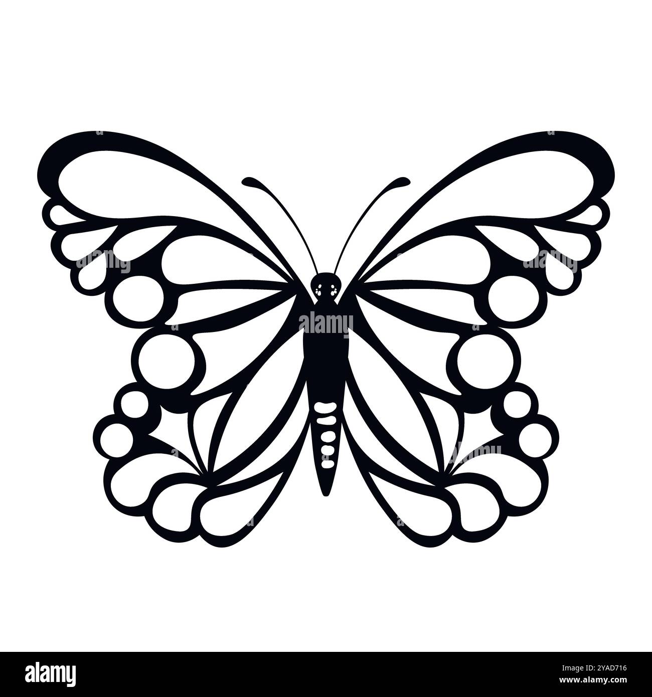Funny black and white butterfly. Color flat vector of detailed