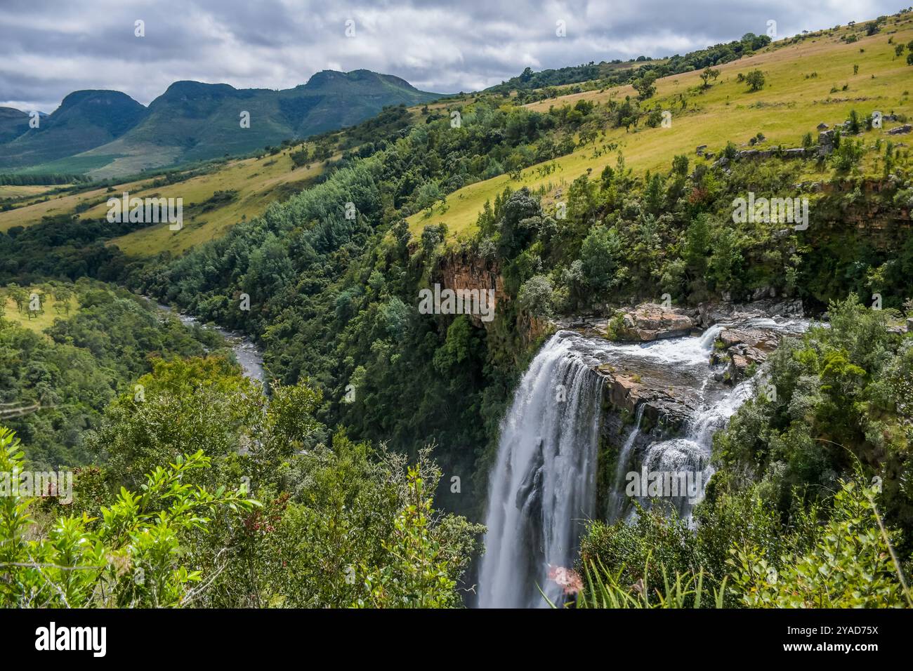 Lisbon Falls In Graskop Mpumalanga South Africa Stock Photo Alamy lisbon-falls-in-graskop-mpumalanga-south-africa-stock-photo-alamy
