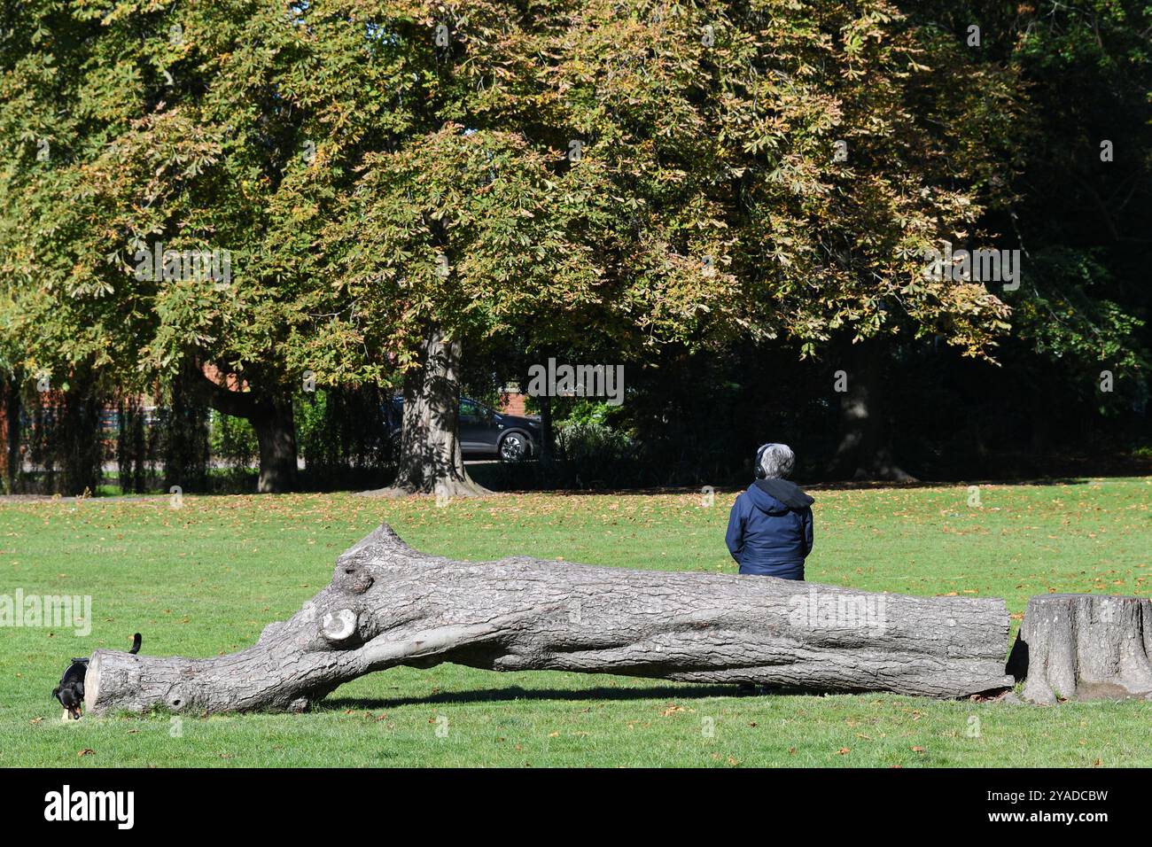 Pin Against Tree Female leaning against tree hi-res stock photography and images - Alamy