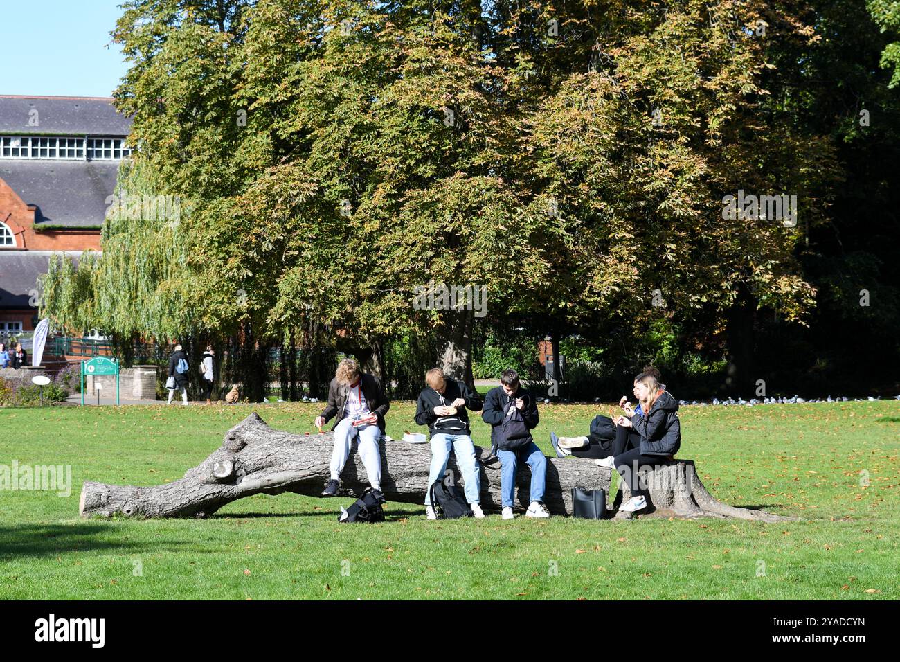 group of young people sitting on a fallen tree in queens park in loughborough Stock Photo