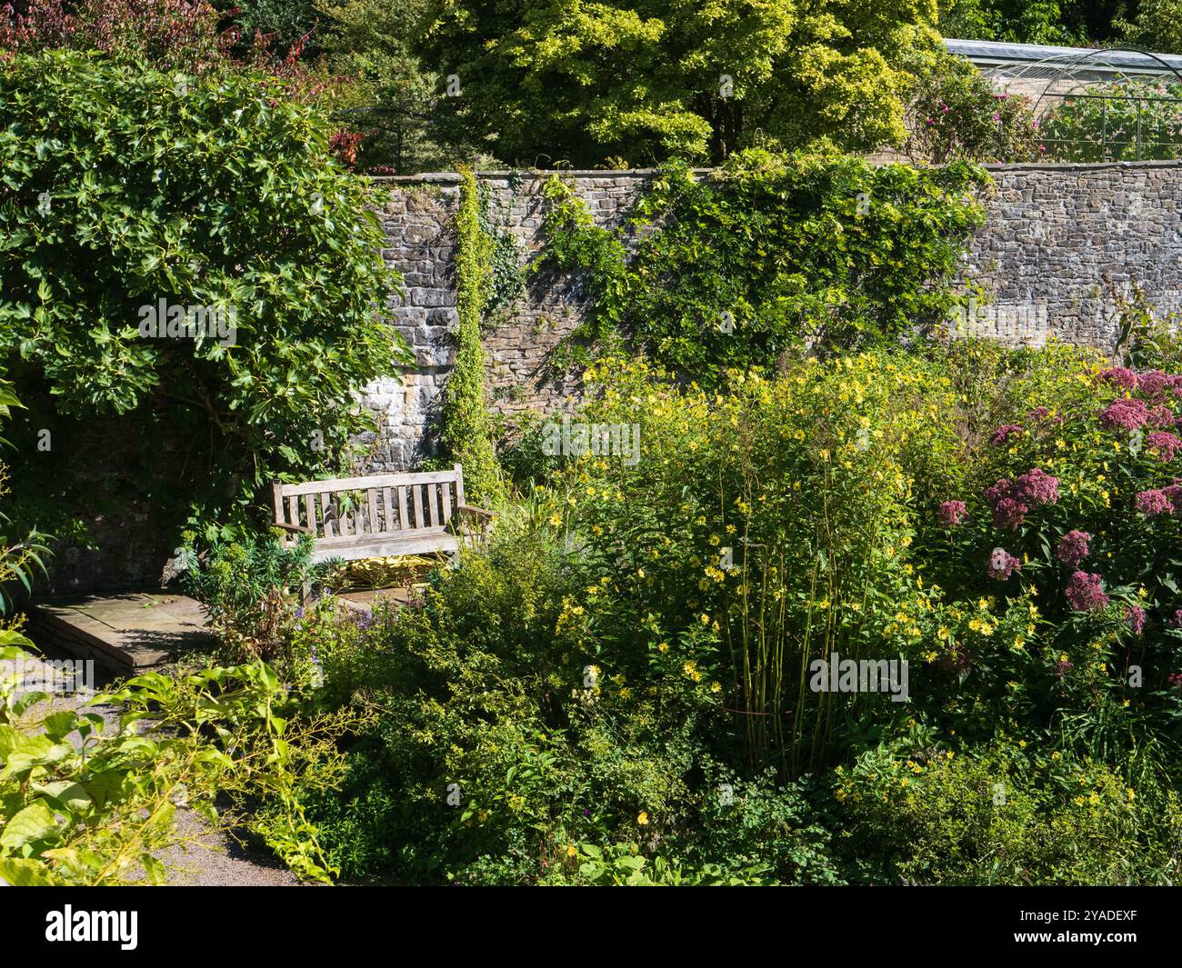 Bench and sitting area in an informal corner of the Upper Walled Garden at Aberglasney, South Wales, UK Stock Photo