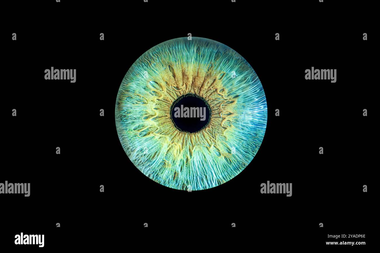 Alien Eye Texture
