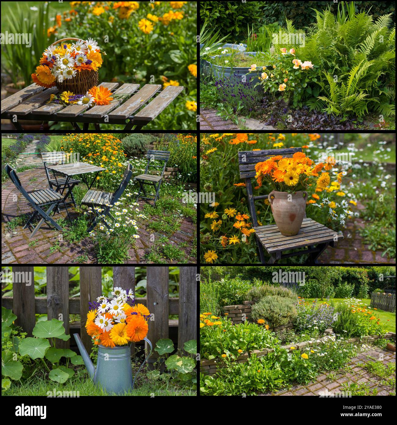 rustical garden in the summer - collage with six pictures Stock Photo